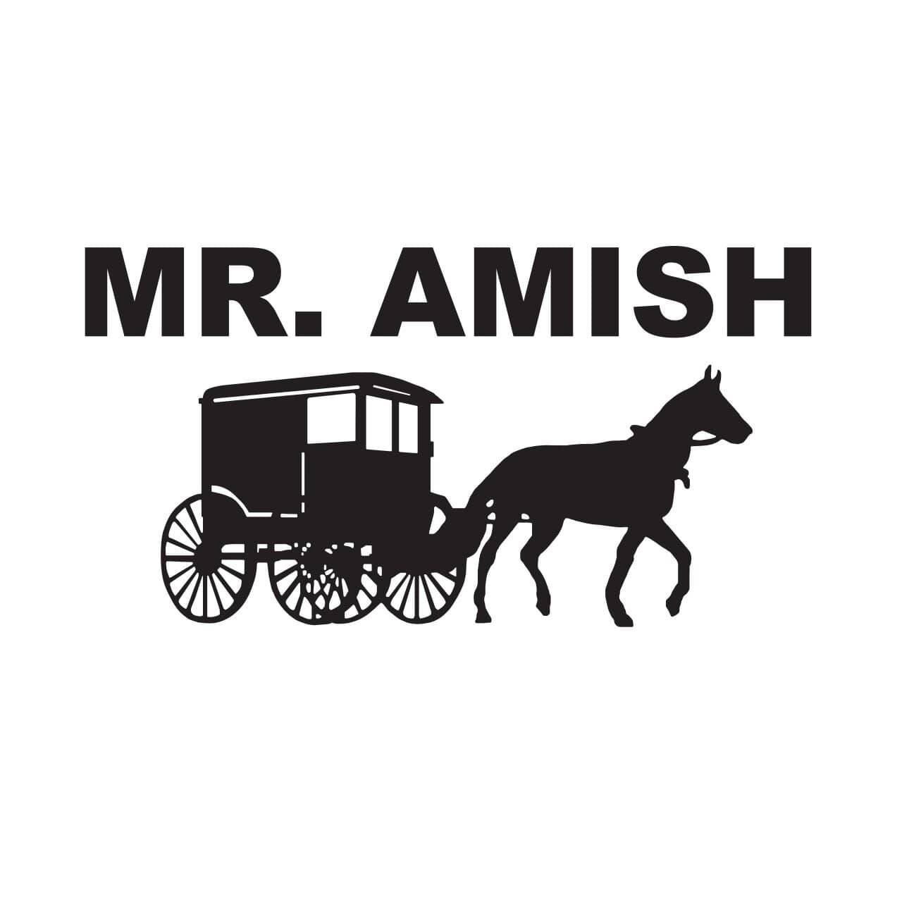 Mr. Amish